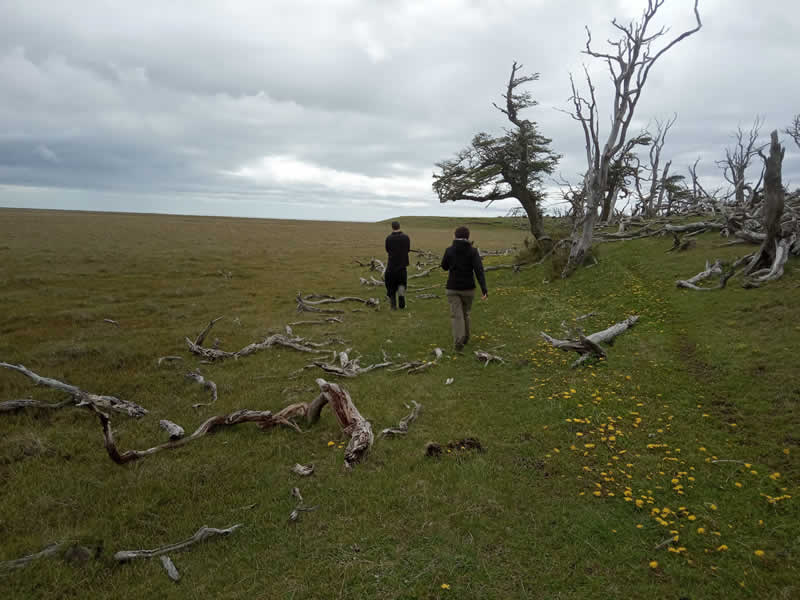 Caminadas por la estancia