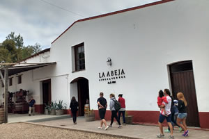 Bodegas de San Rafael - La Abeja