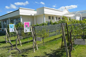 Bodegas de San Rafael - Bianchi