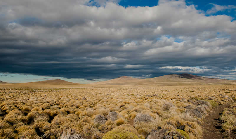 Visitando el Parque Nacional Patagonia