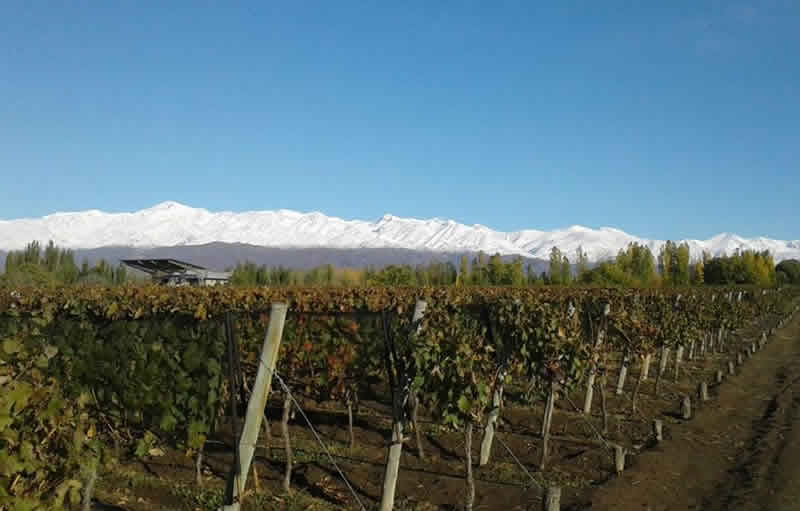 Bodega Valle de Encuentro