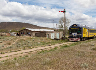 Las tarifas del tren patagónico (2024)