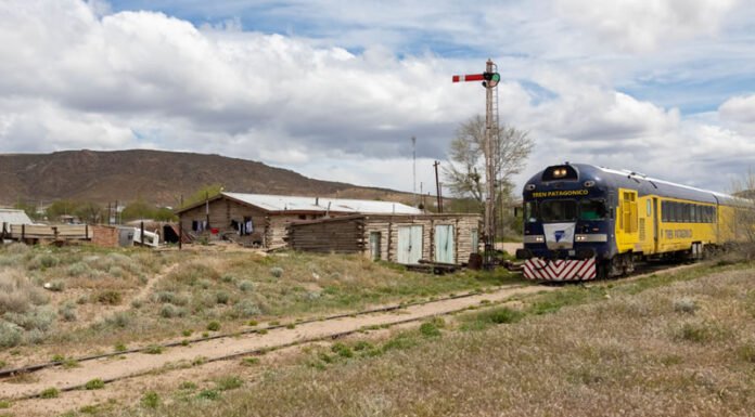 Vuelve a operar el tren patagónico desde Bariloche Las tarifas del tren patagónico (2024)
