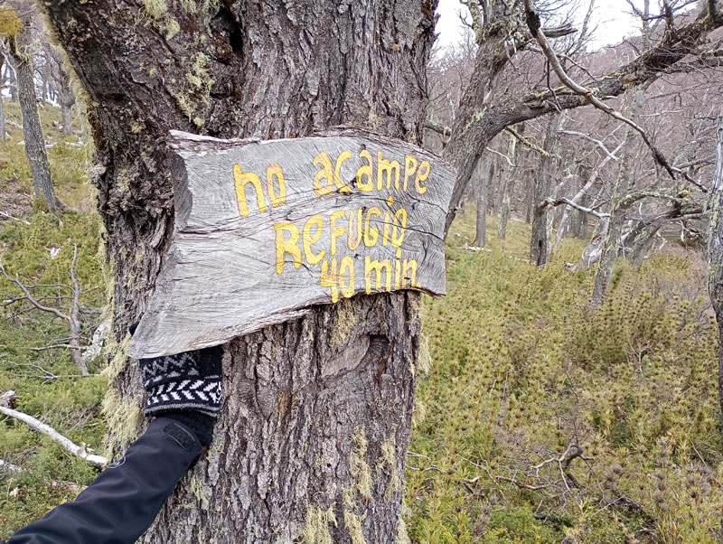 senderos en el bolson