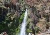 El sendero corbata blanca se recupera después del incendio (El Hoyo)