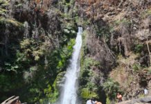 El sendero corbata blanca se recupera después del incendio (El Hoyo)