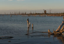 Mar Chiquita (Córdoba) El «Mar Interior» de Argentina laguna mar chiquita