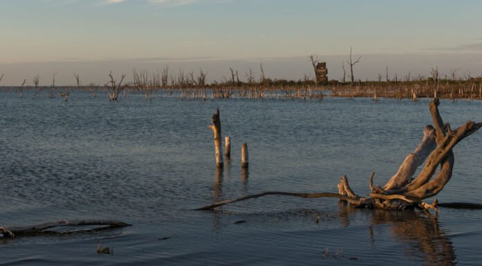 Mar Chiquita (Córdoba) El «Mar Interior» de Argentina laguna mar chiquita