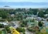 Calafate
