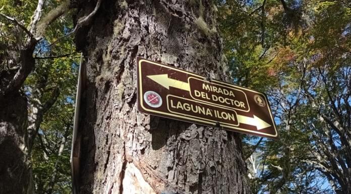 Sendero a la Mirada del Doctor desde Pampa Linda (Bariloche)
