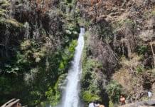 El sendero corbata blanca se recupera después del incendio (El Hoyo)