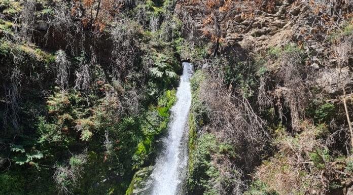 El sendero corbata blanca se recupera después del incendio (El Hoyo)